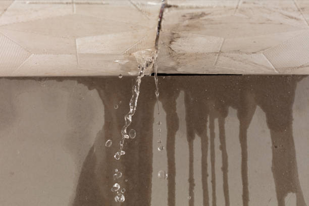 Professional Flood Damage Cleanup technician working in Algoma, WI